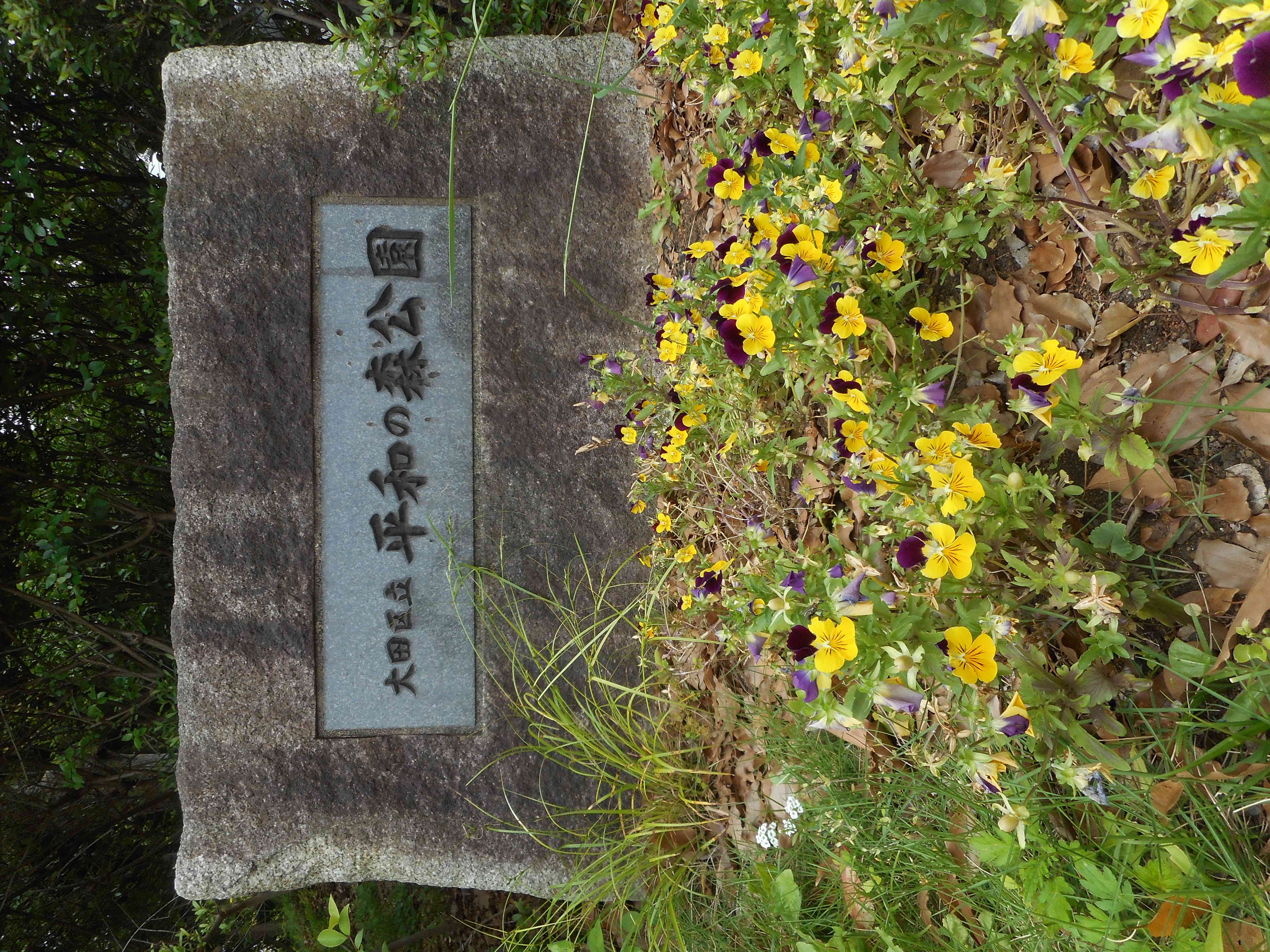 DSCN0170