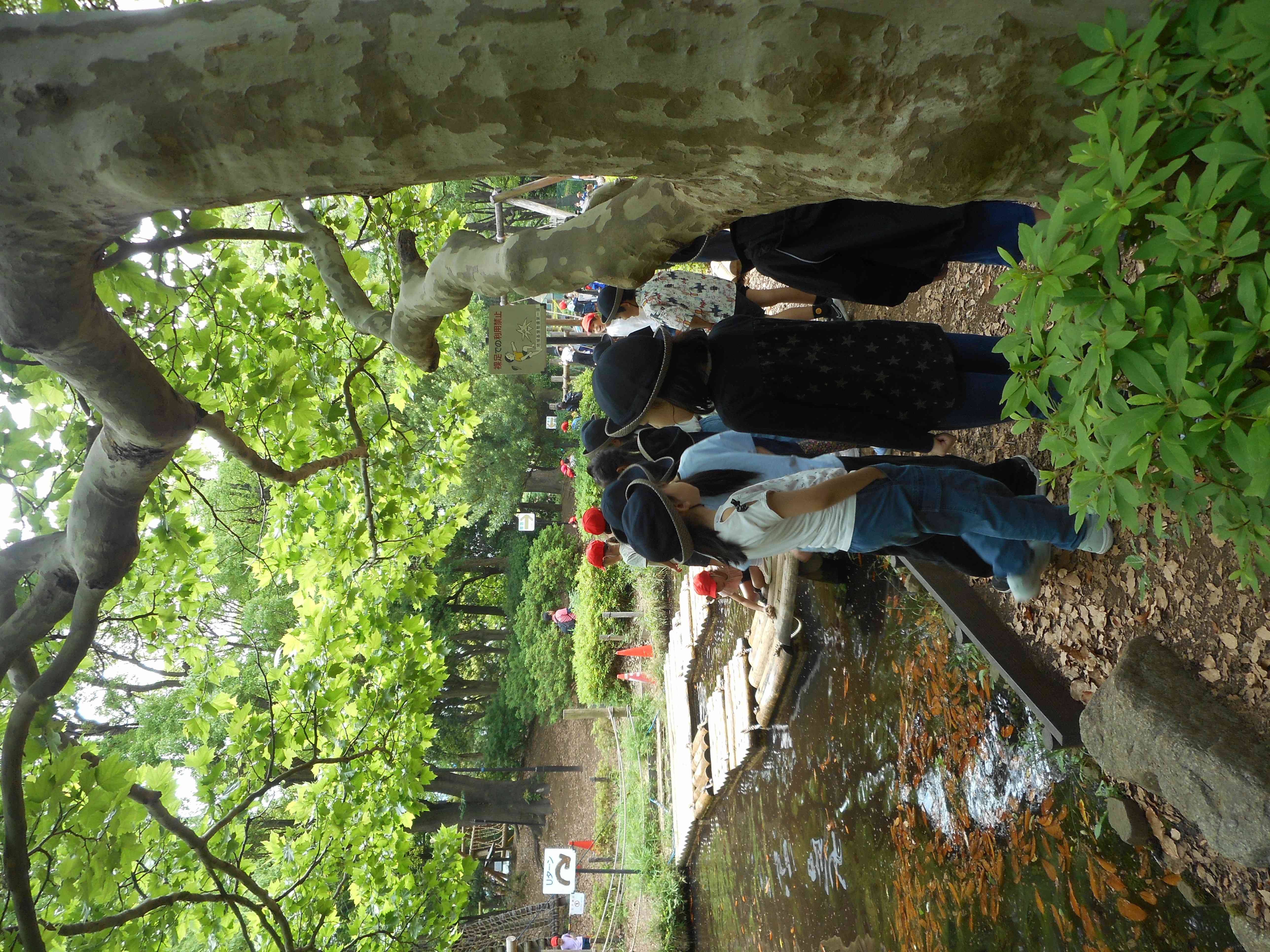 DSCN0174