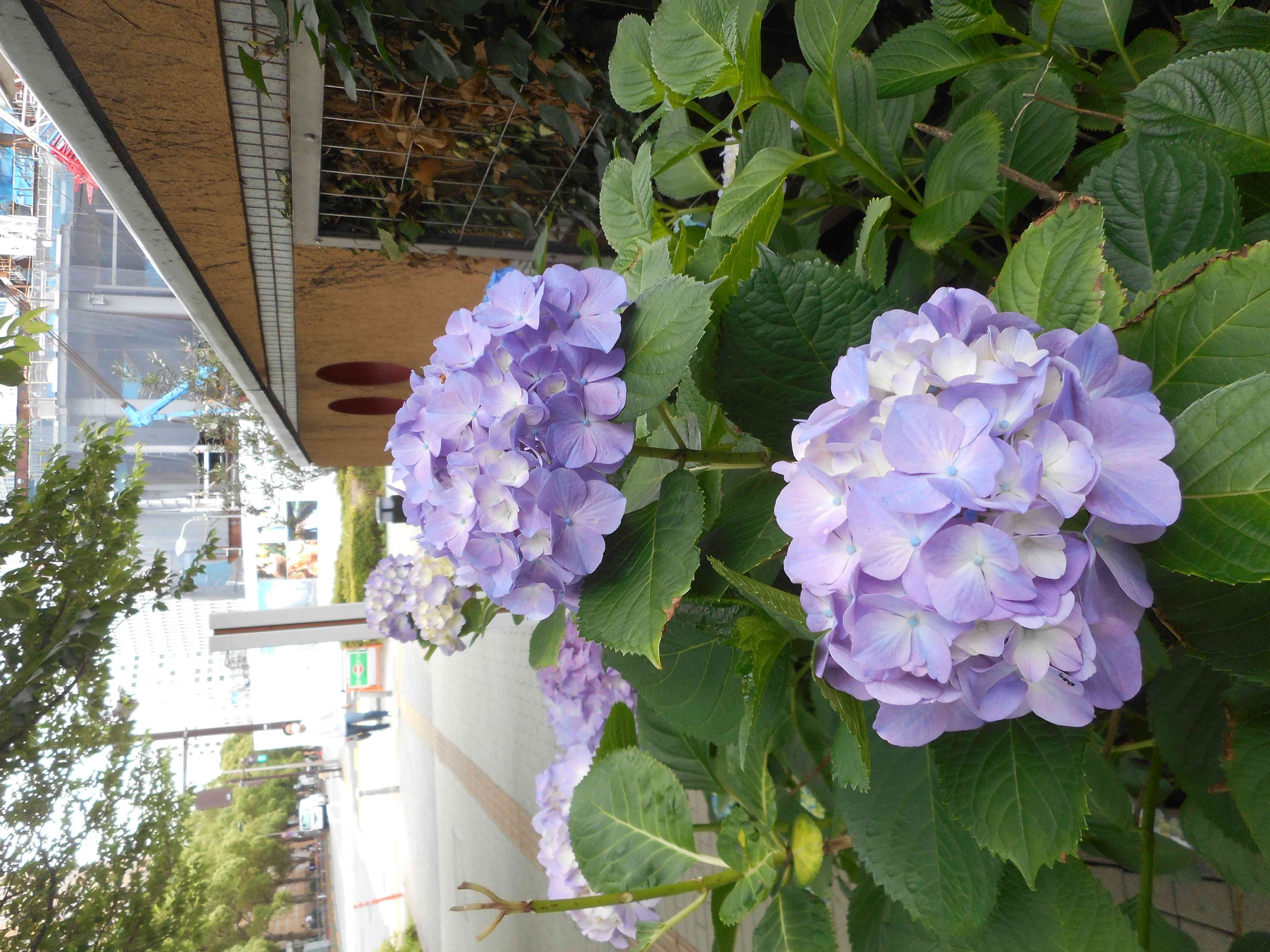 DSCN0199