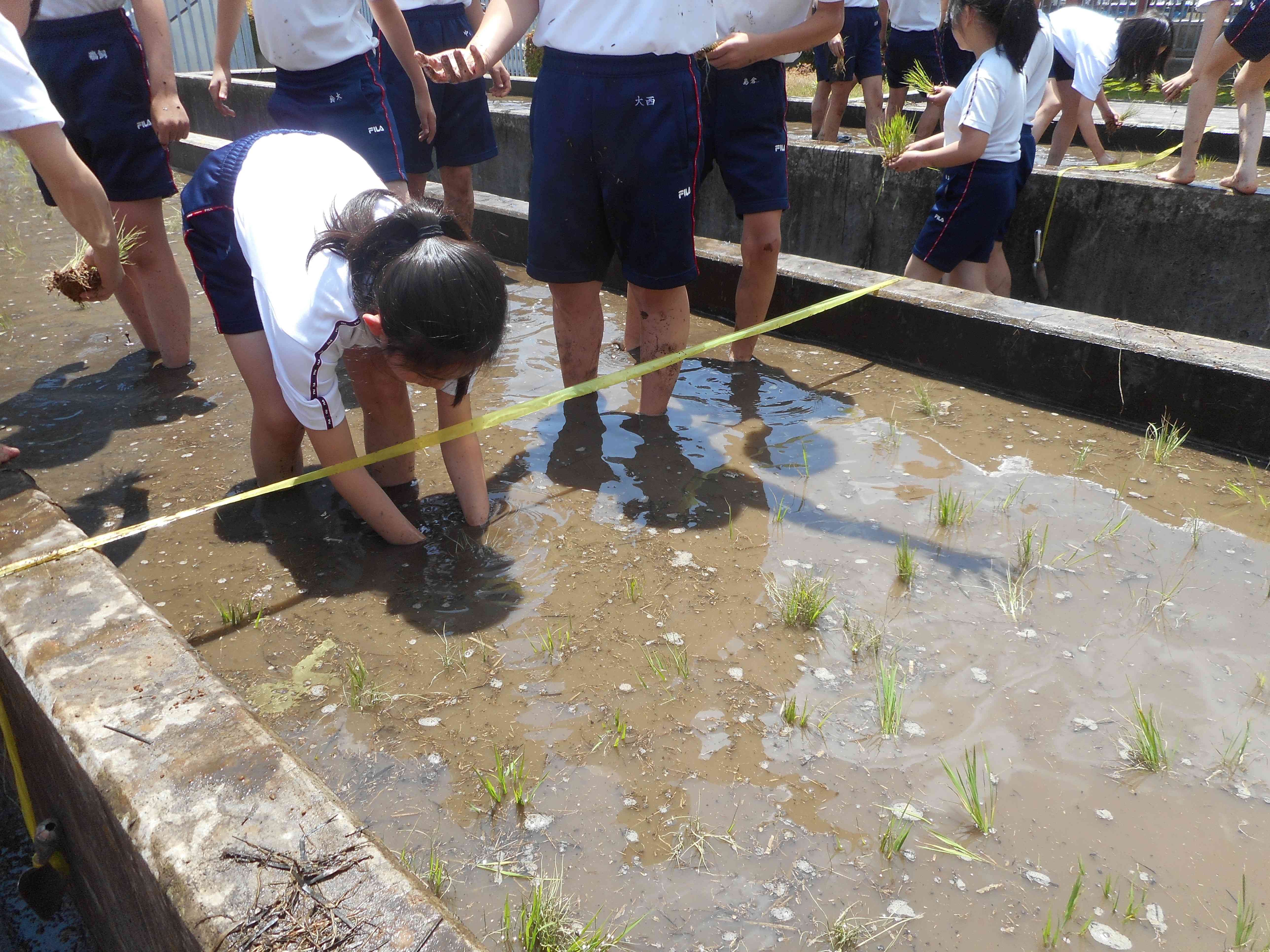 DSCN0222