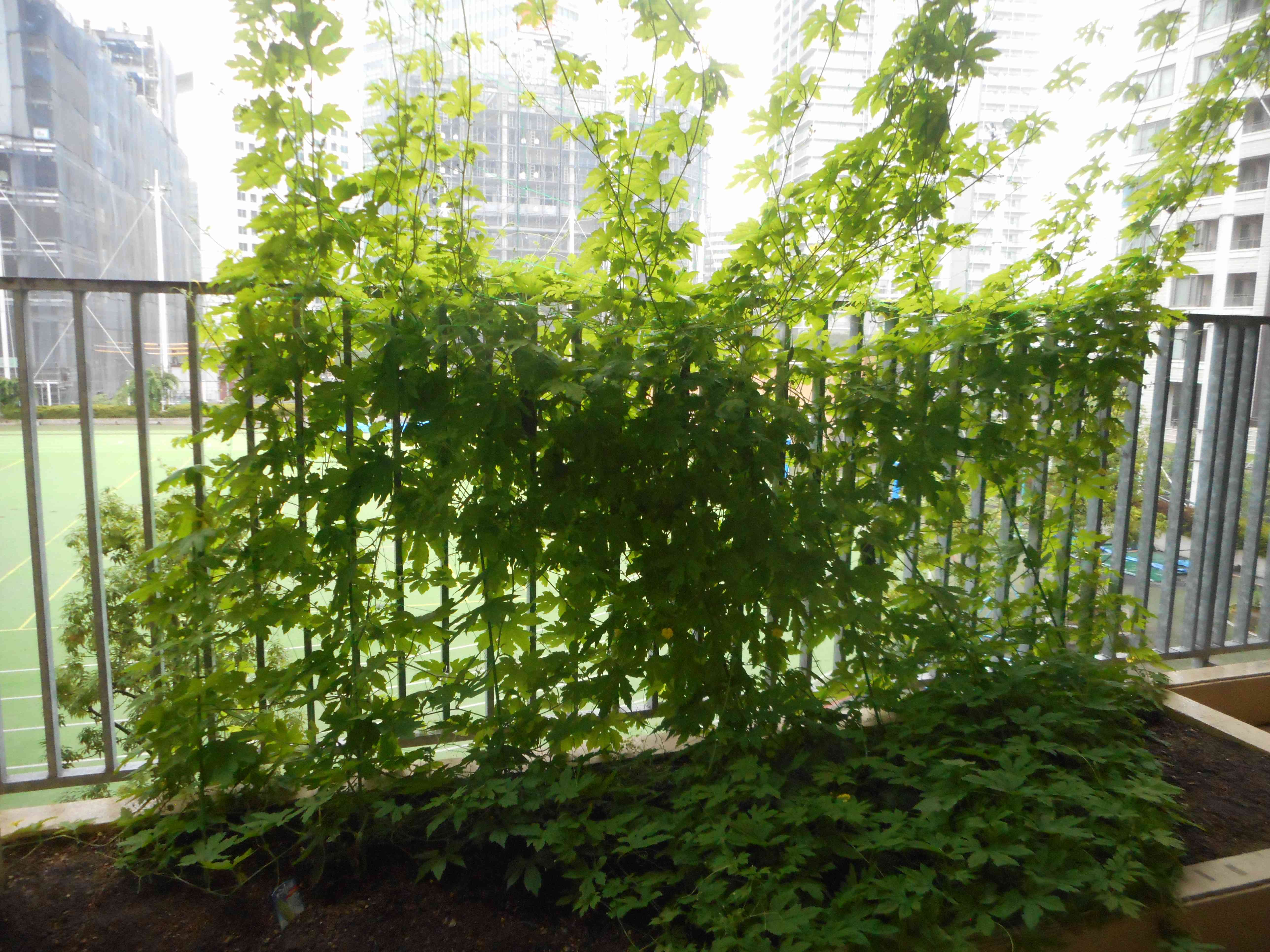 DSCN0409