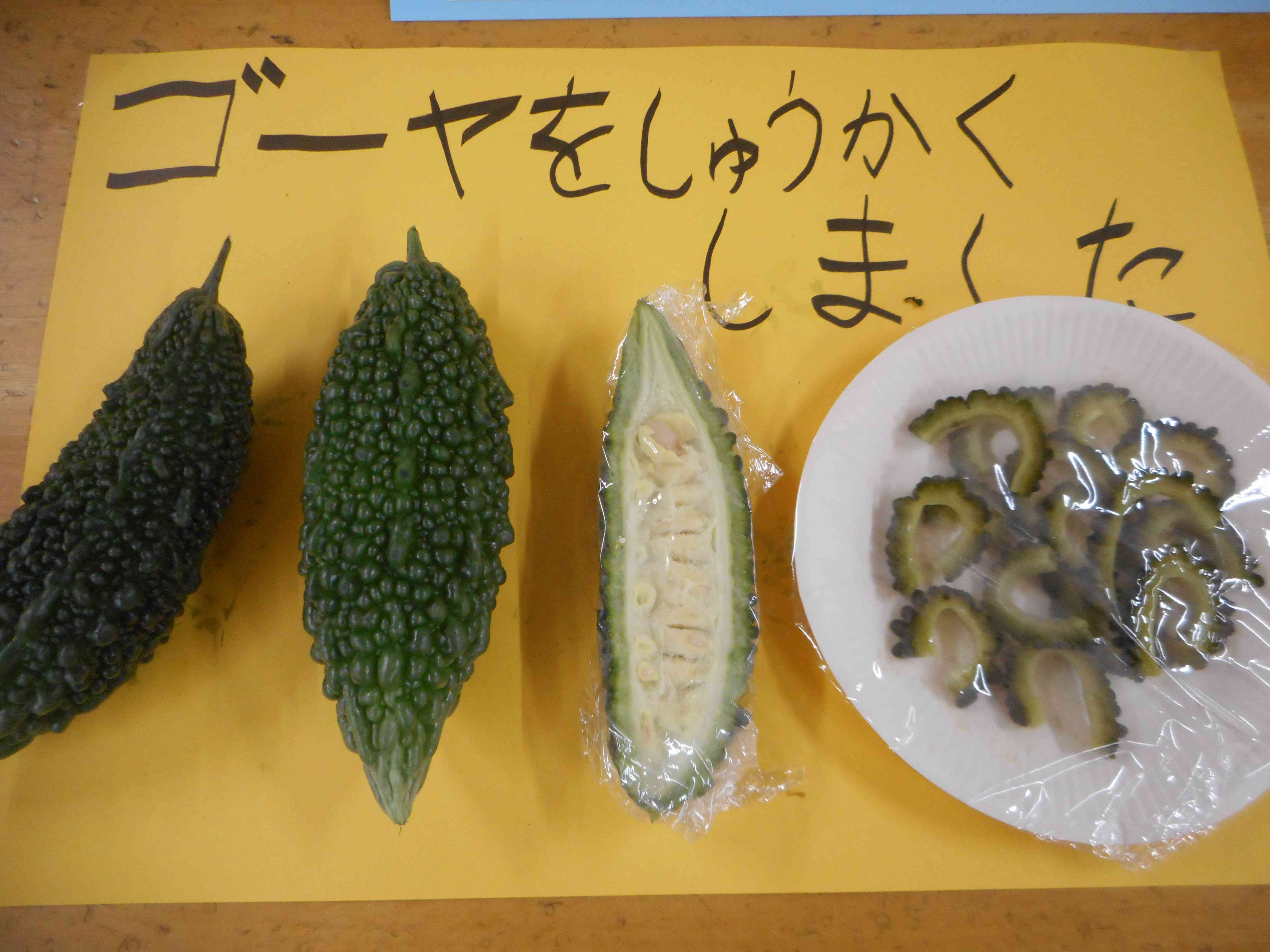 DSCN0405