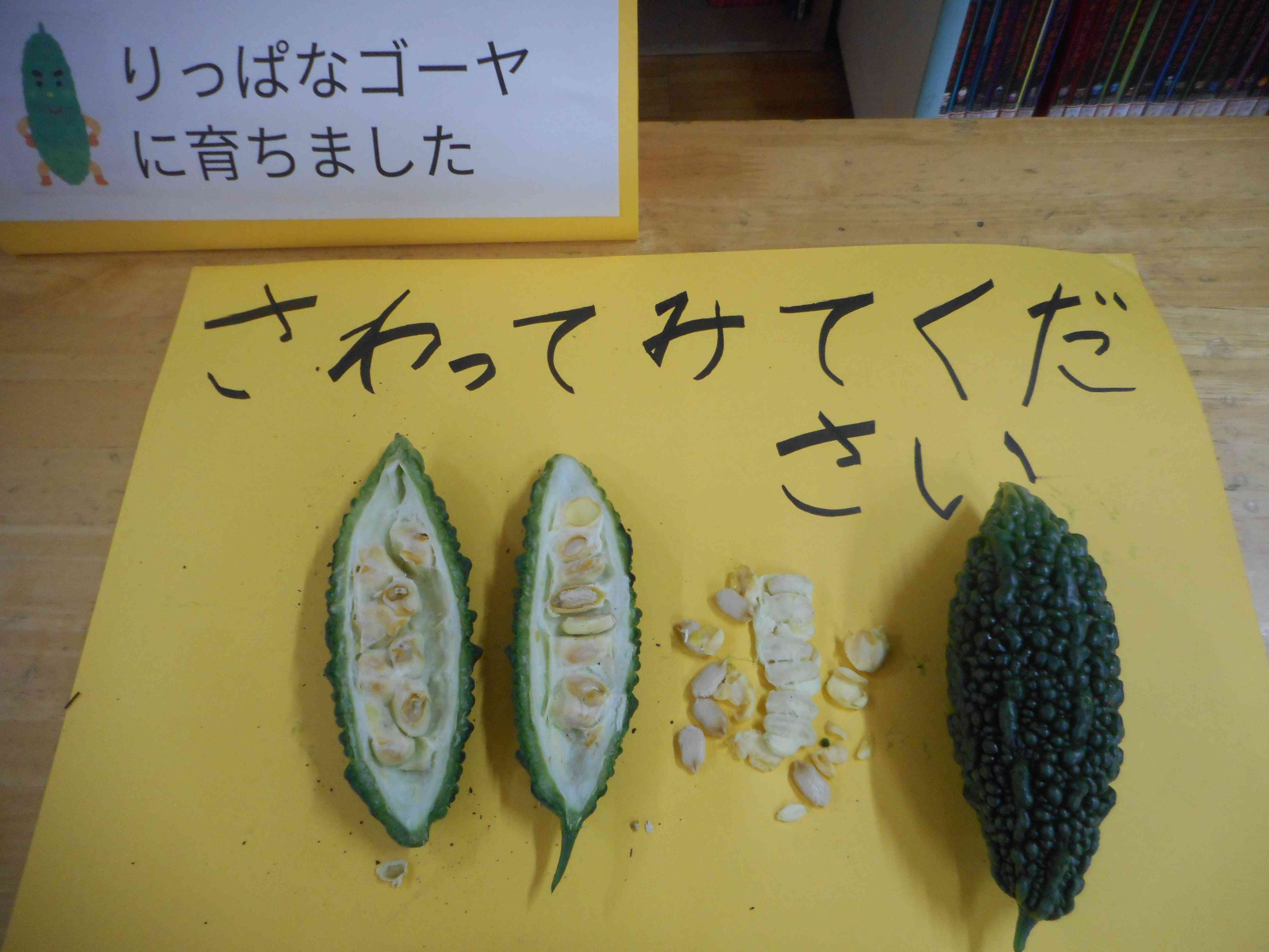 DSCN0406