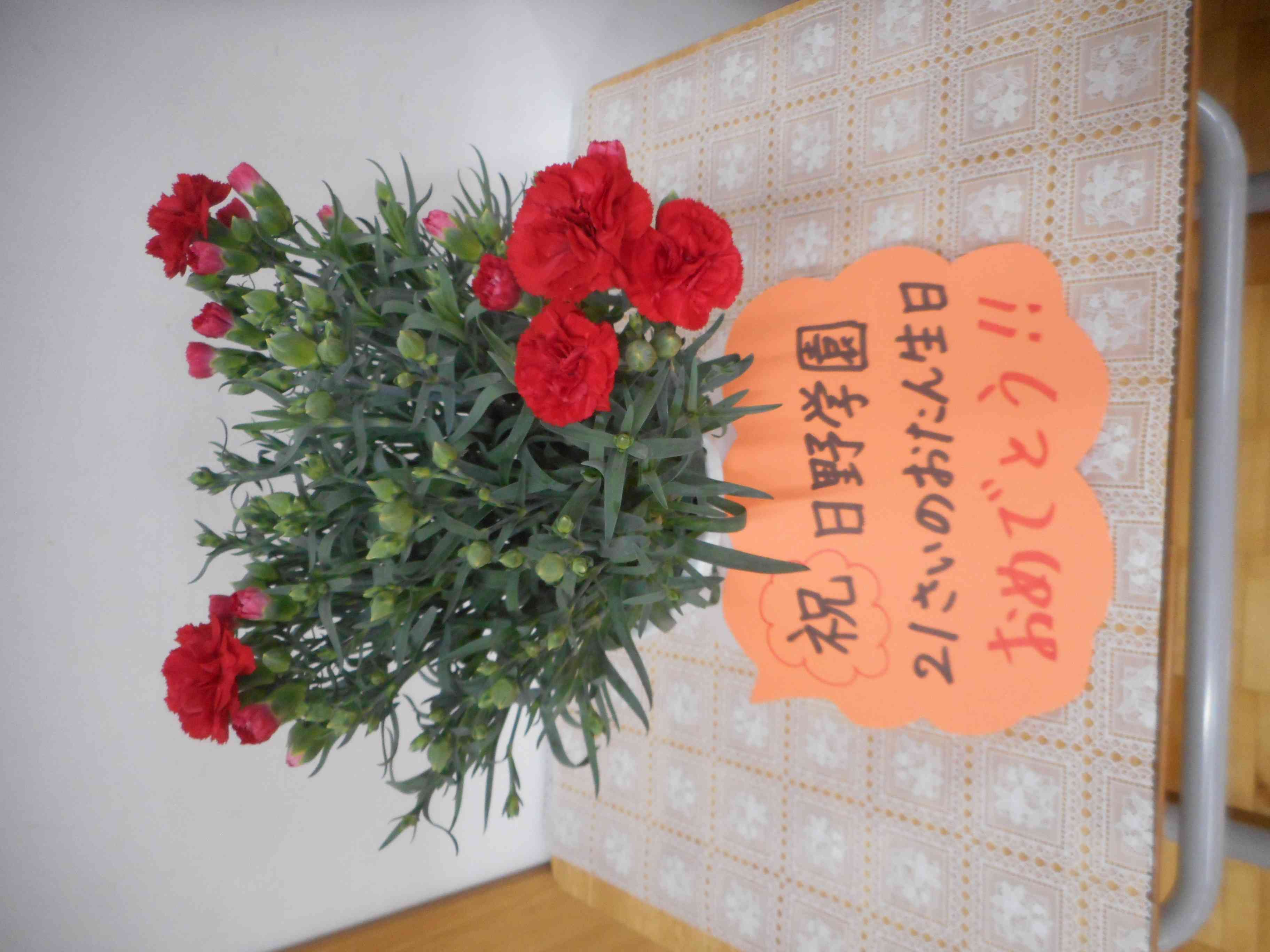 DSCN1353[1]