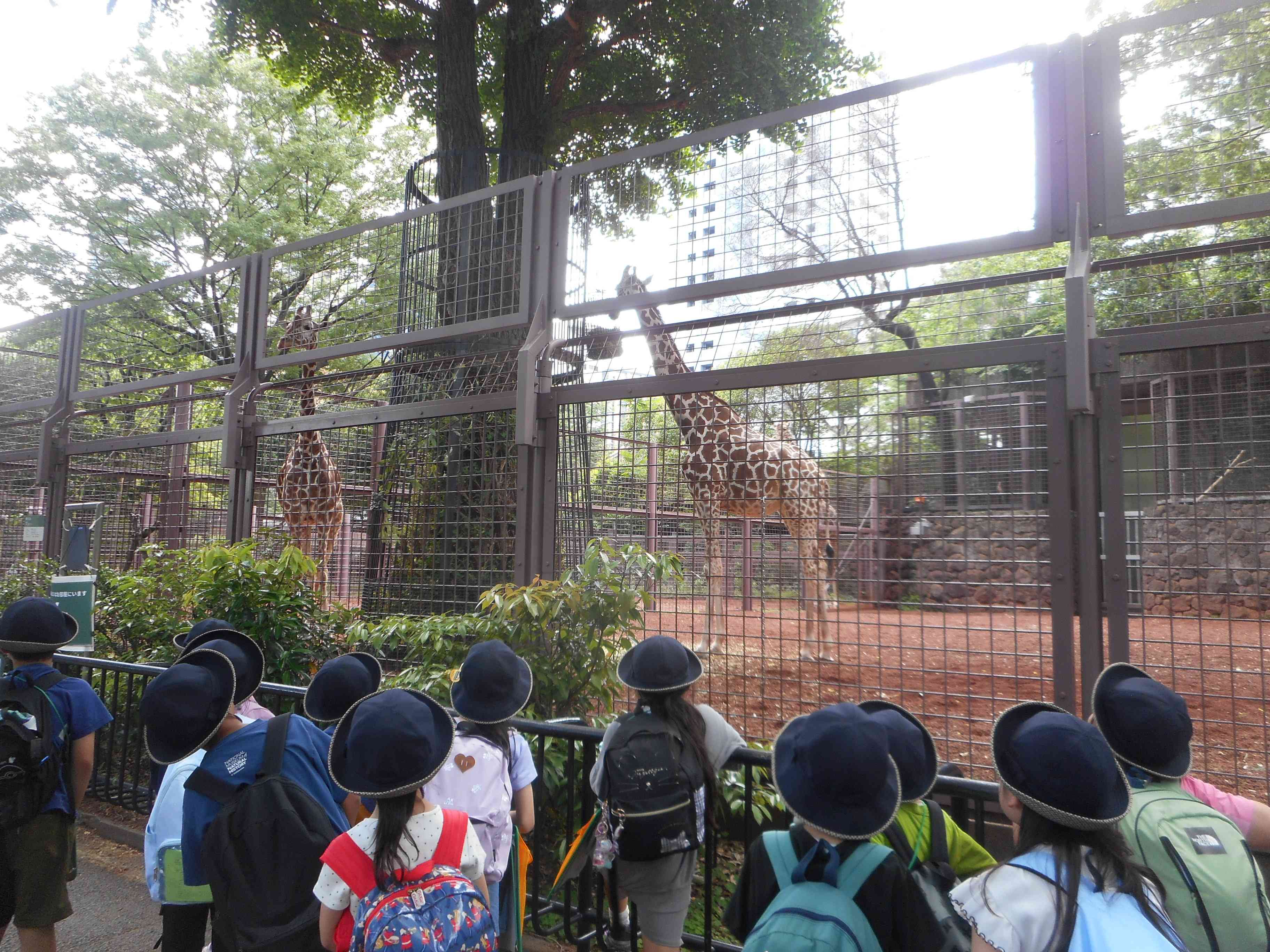 DSCN1383[1]