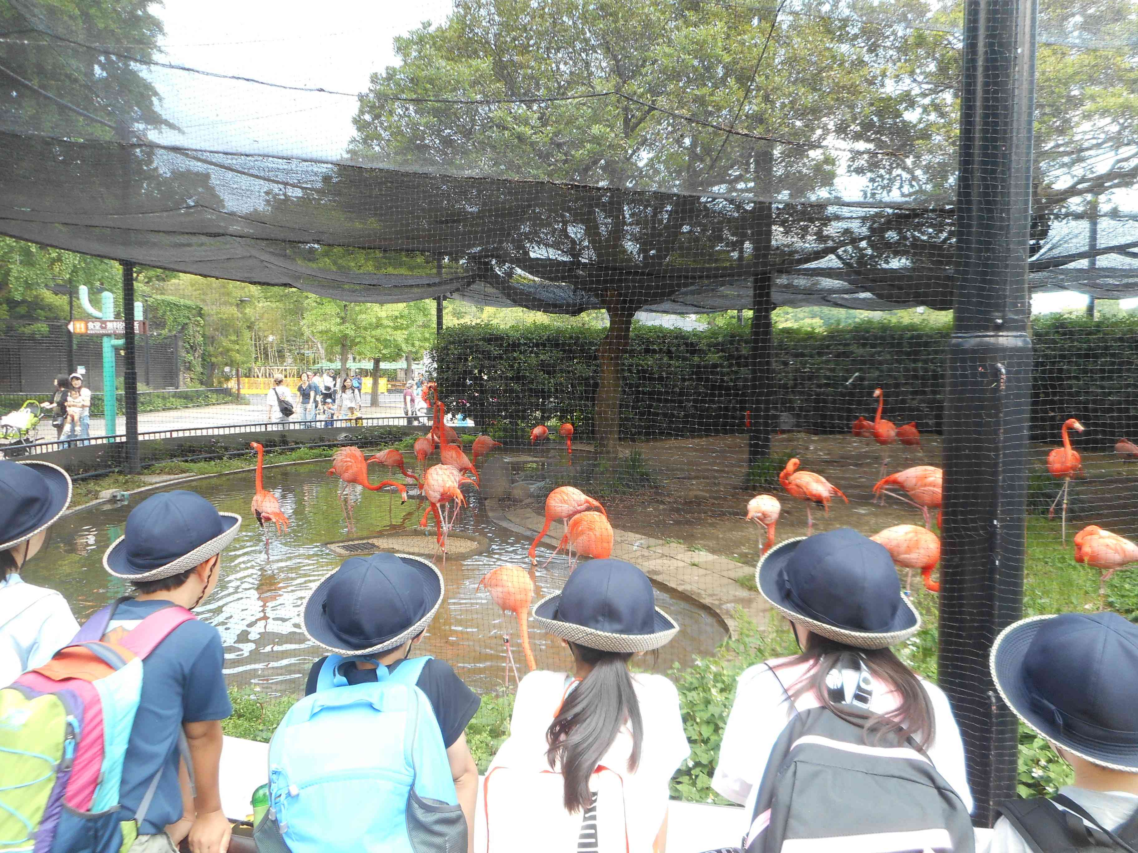 DSCN1384[1]