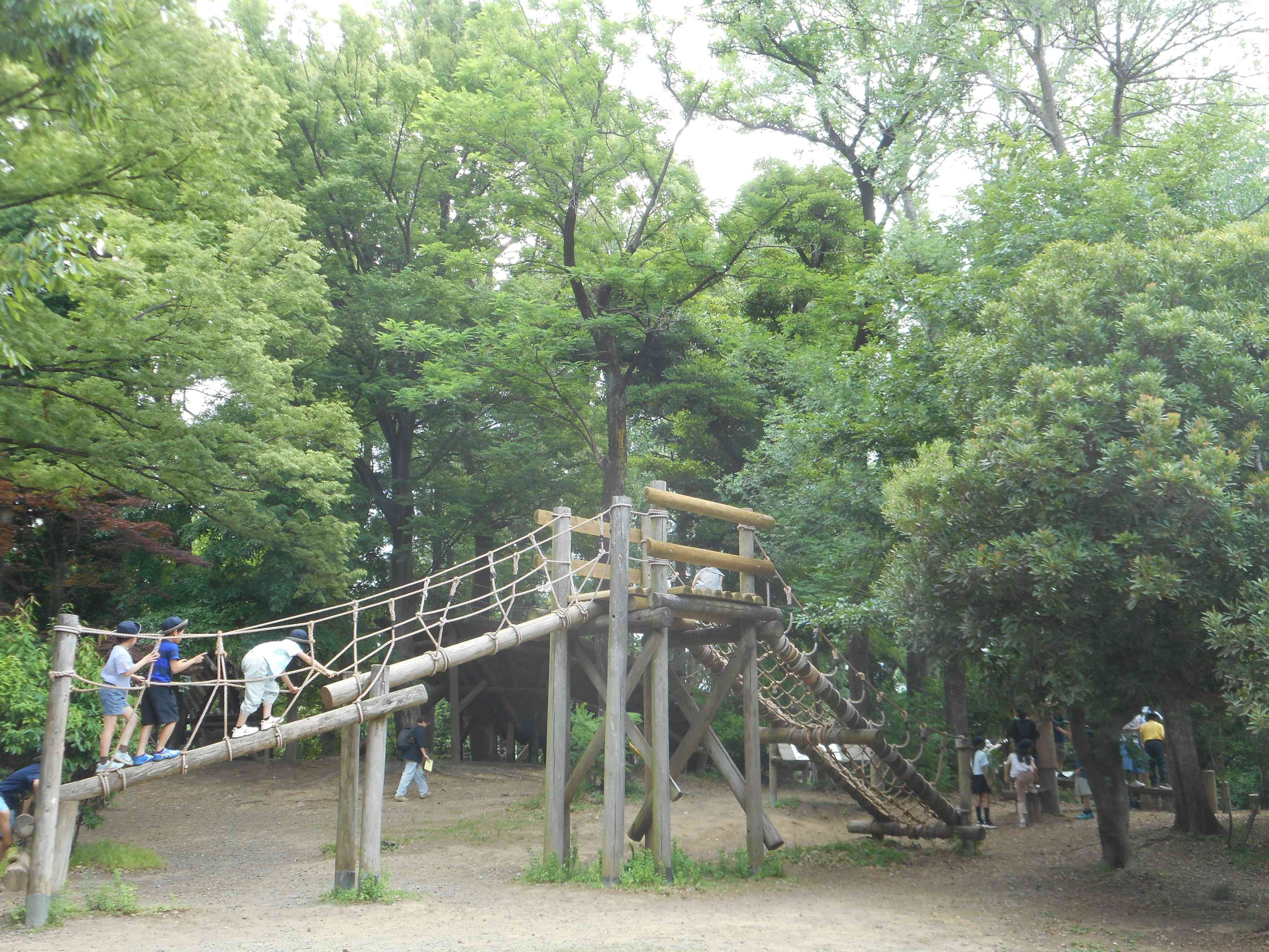 DSCN1441[1]
