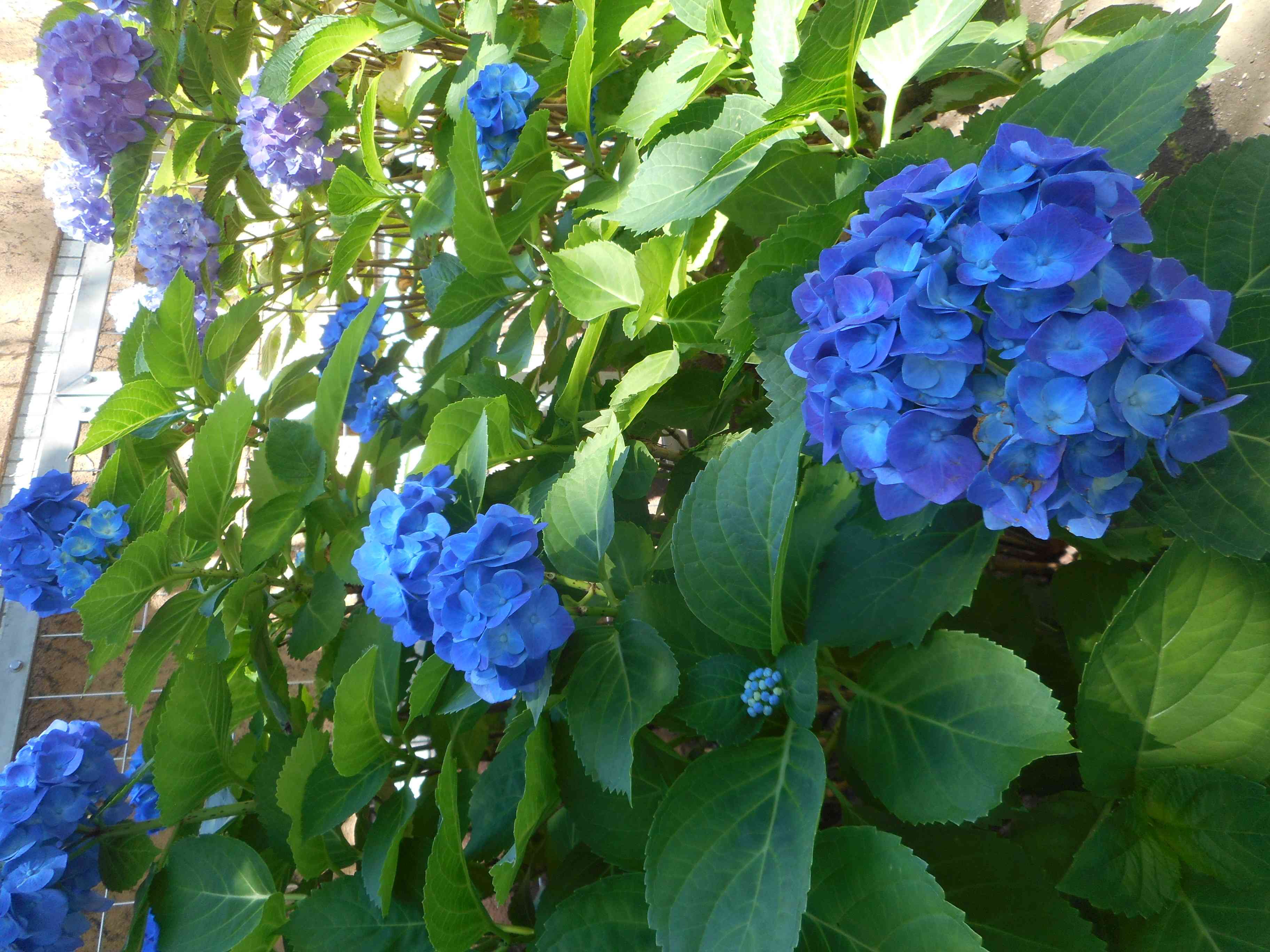 DSCN1445[1]