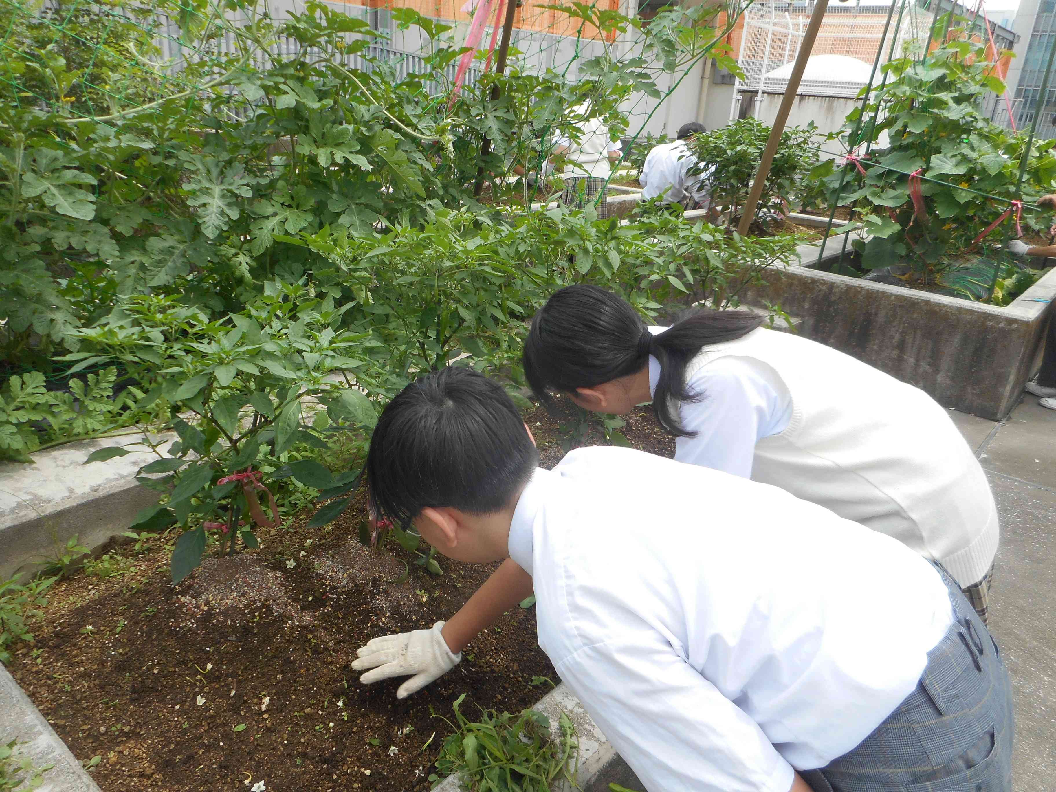 DSCN1555[1]